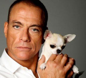 0jcvd