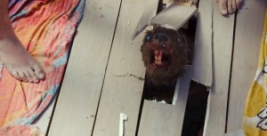 zombeavers_4